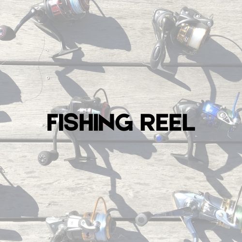 Fishing Reel