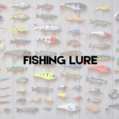 Fishing Lure