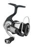 DAIWA CERTATE FC 2024
